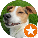 Peter Saunders profile picture