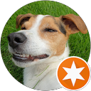 Peter Saunders profile picture